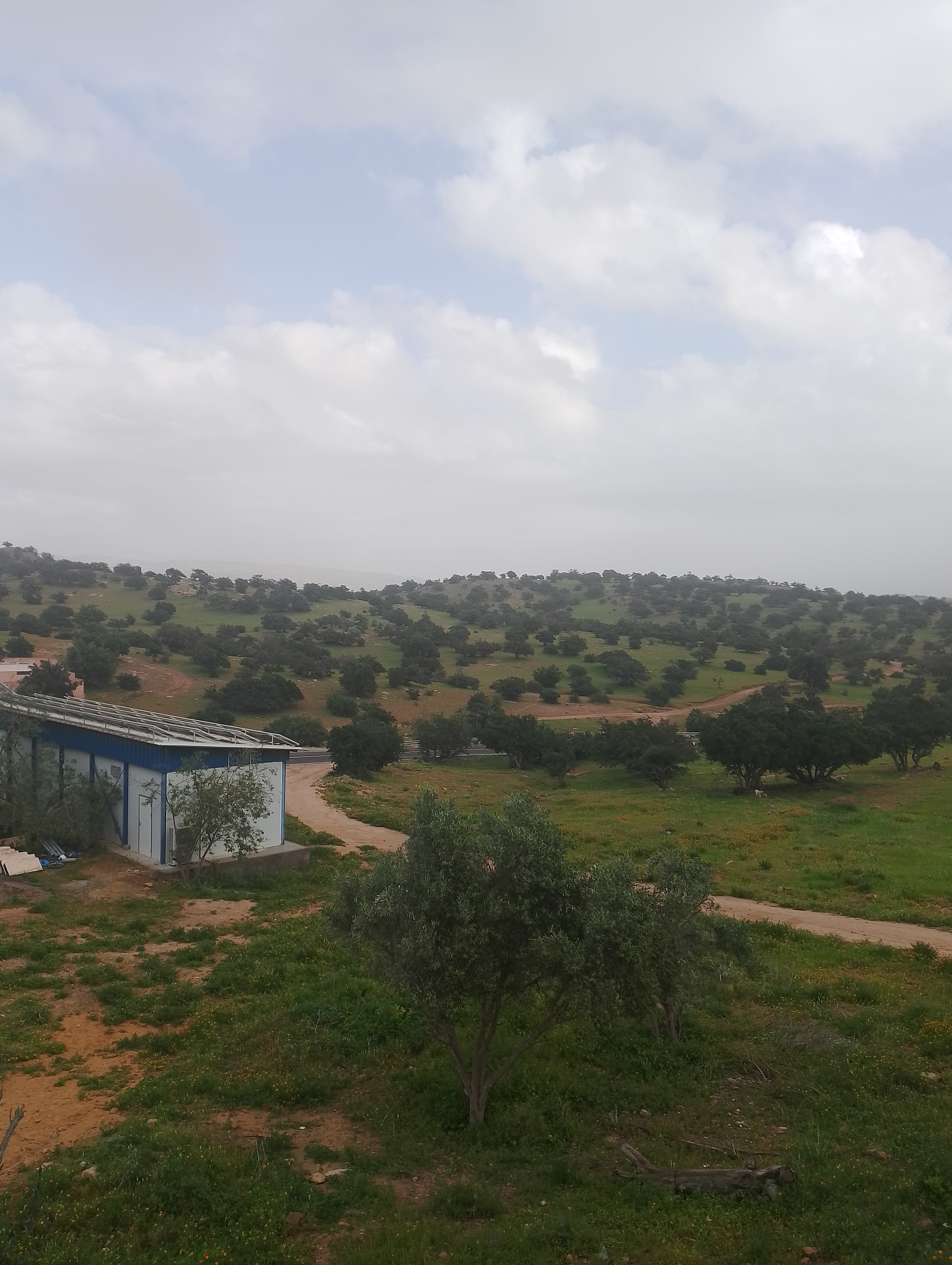 Imiortan — غرفة 1 · Room - family
