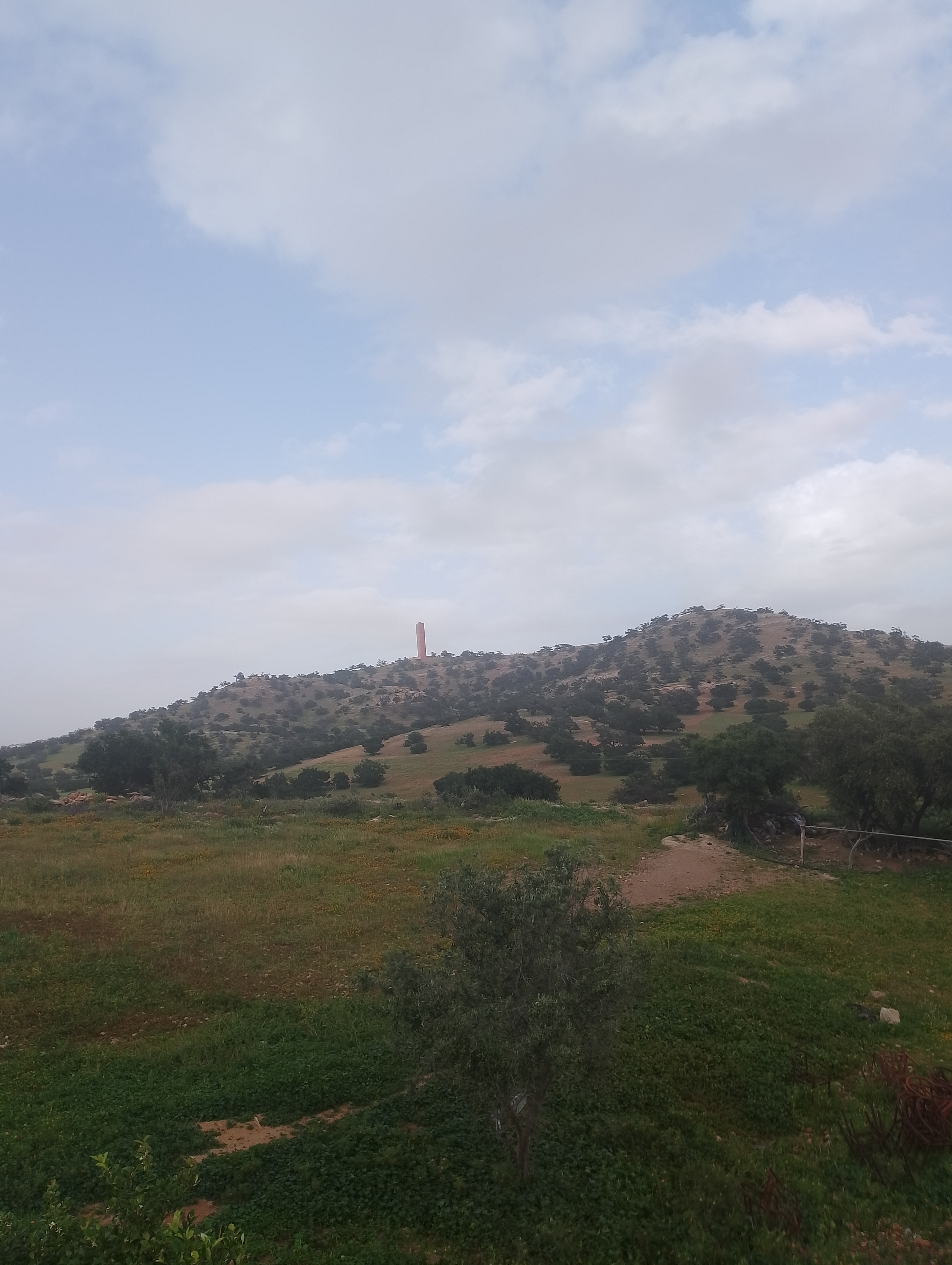 دار ديمة — دار ديمة · Photo 2