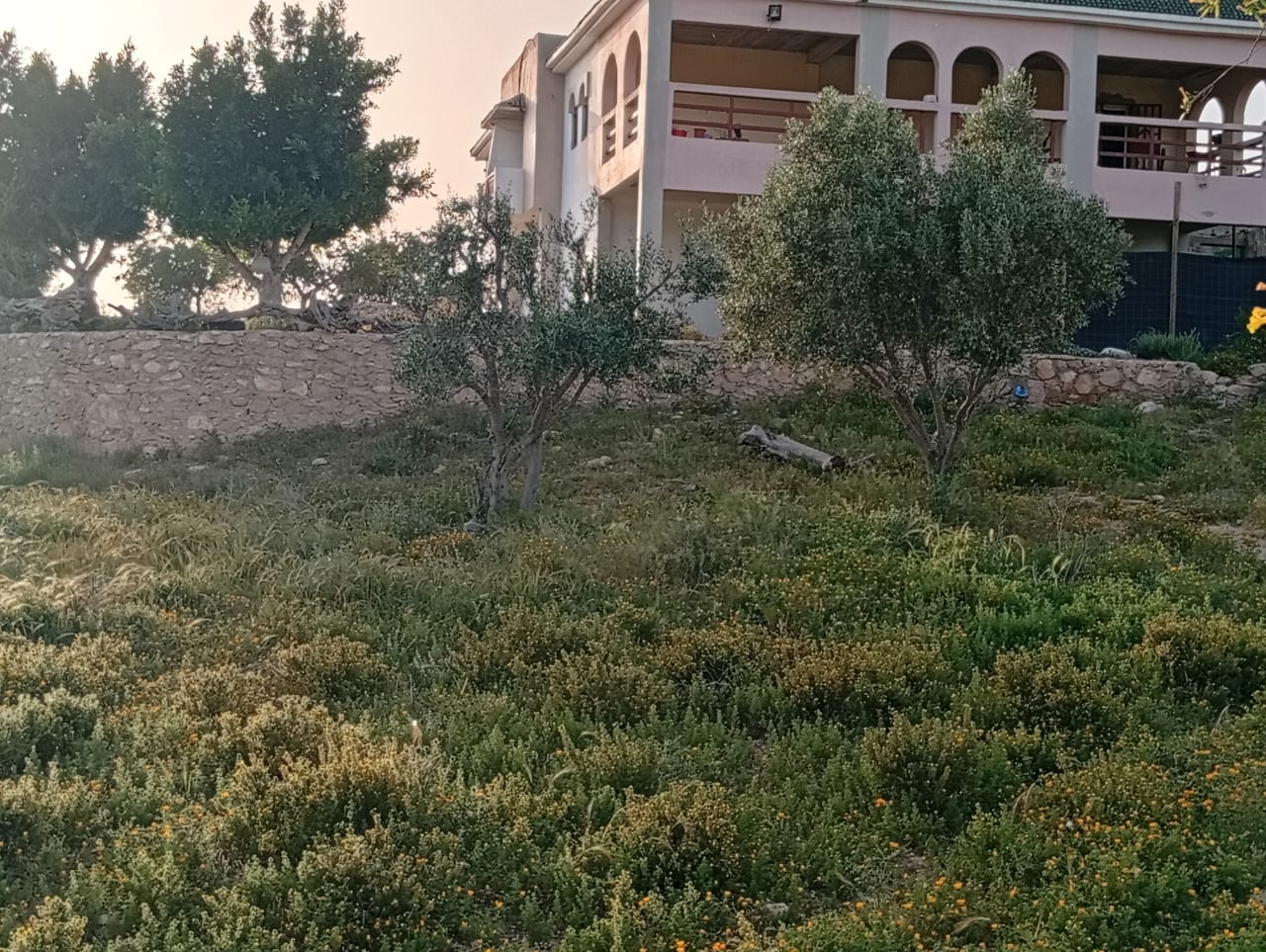 Imiourtan Guesthouse في إمسوان — Imiourtan Guesthouse في إمسوان · Photo 3
